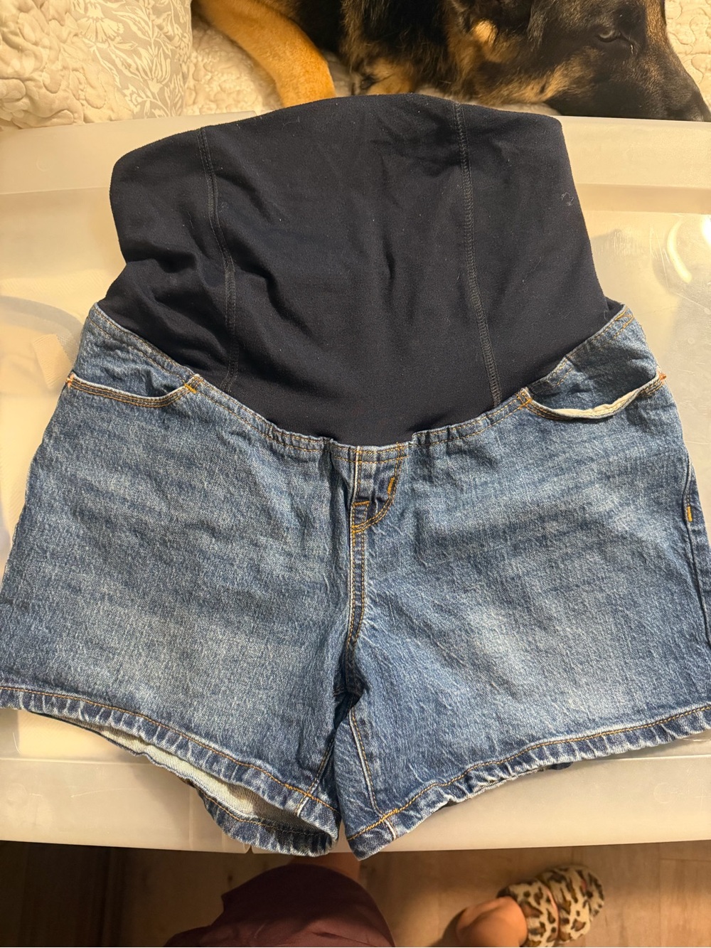 Isabel & Ingrid Maternity Shorts - Comfort waist